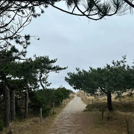 Cosy, Undisturbed Sanctuary Away From The